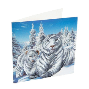 Card Making Kits - Generic - Image 22