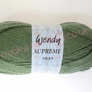 Wendy Supreme ARAN - 100g Ball - Image 3