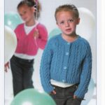 Stylecraft Double Knitting - 20-30inch - 8221
