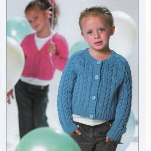 Stylecraft Double Knitting - 20-30inch - 8221
