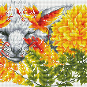 dd9 033 fern fox
