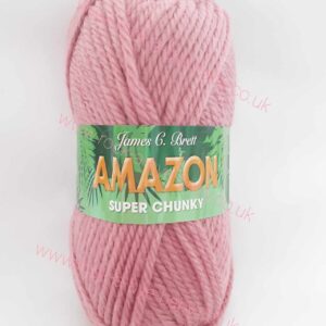j20 rose