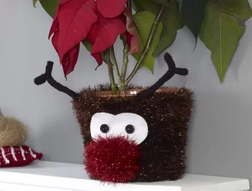 king cole christmas knits book 6